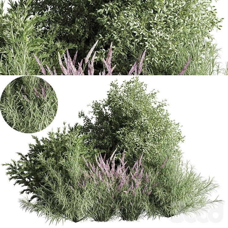 mixed_plant_and_bush_01
