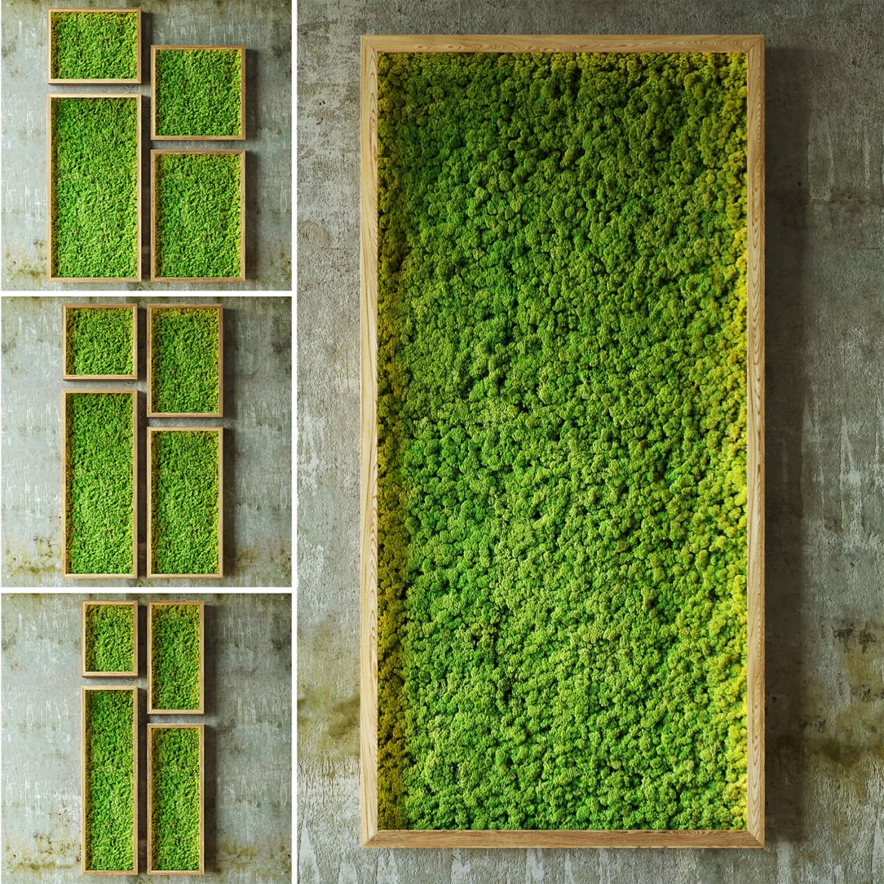 Moss walls