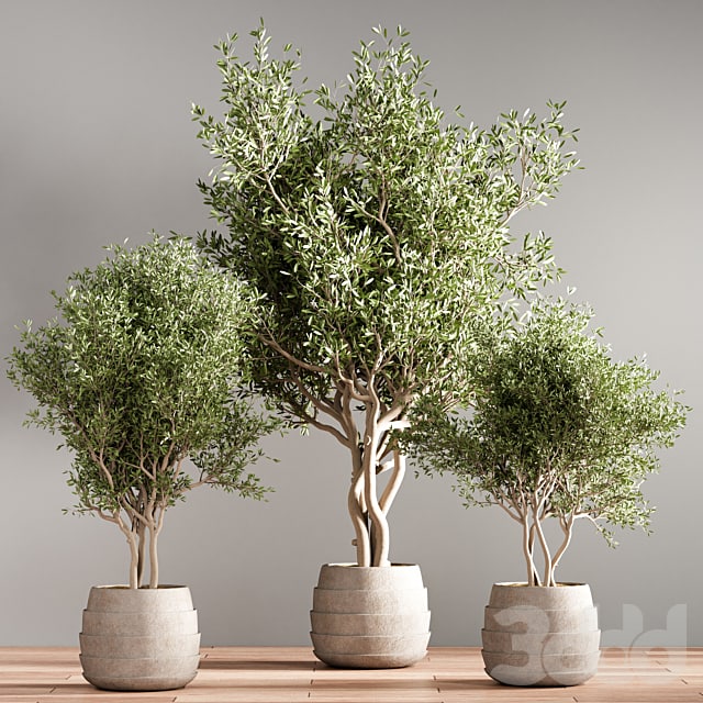 indoor plant stand 40