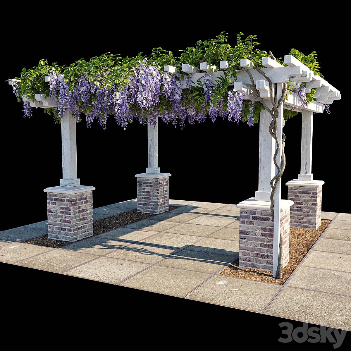 Pergola with Wisteria
