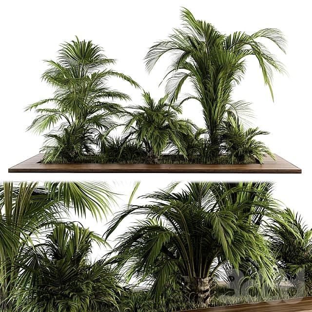 Outdoor Plants tree Tropical Garden - Set 143