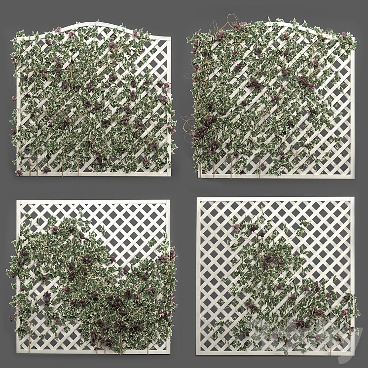 ivy grid panel( 4 different ivy composition)