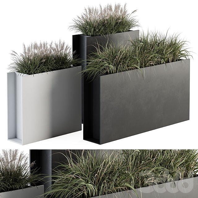 Outdoor Plant Set 288 - Grass in Plant Box