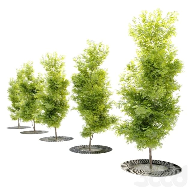 Tree with metal grate -tree