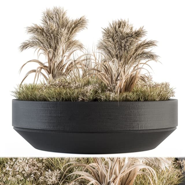 Outdoor Plants tree in Concrete Pot - Set 147