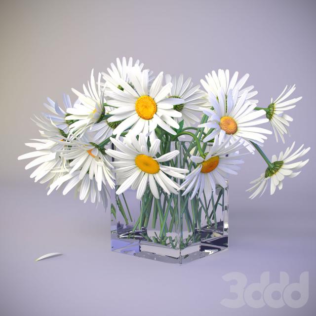 Bouquet of daisies
