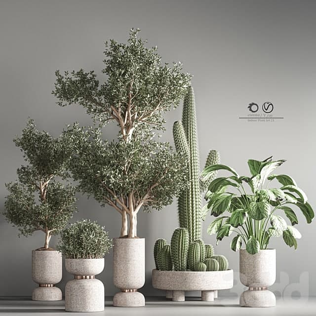indoor plant set 26