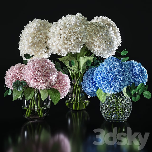 Hydrangea set 001