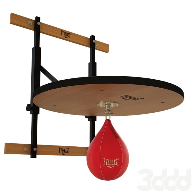 Everlast punching bag and fasteners