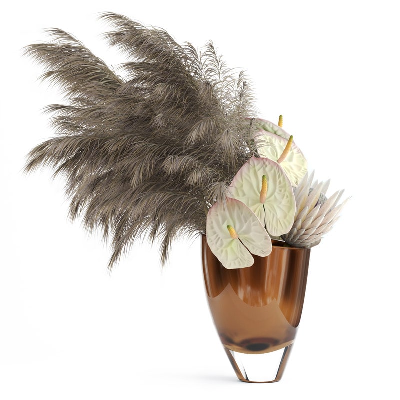 Anthuriums & Protea & Pampas grass