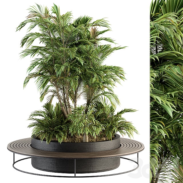 Urban Furniture / Architecture Bench with Plants- Set 16