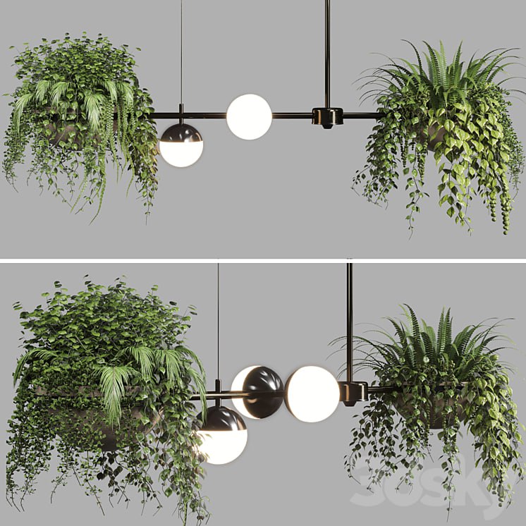 pendant light Indoor & outdoor plants hanging pot