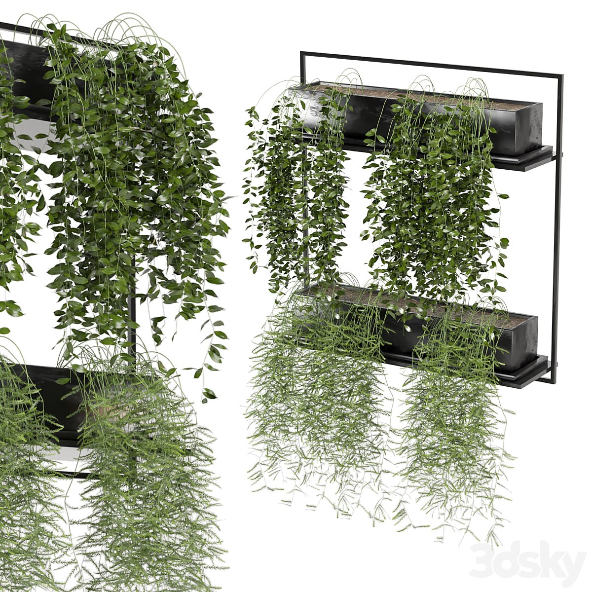 indoor hanging plants in metal box_set 142