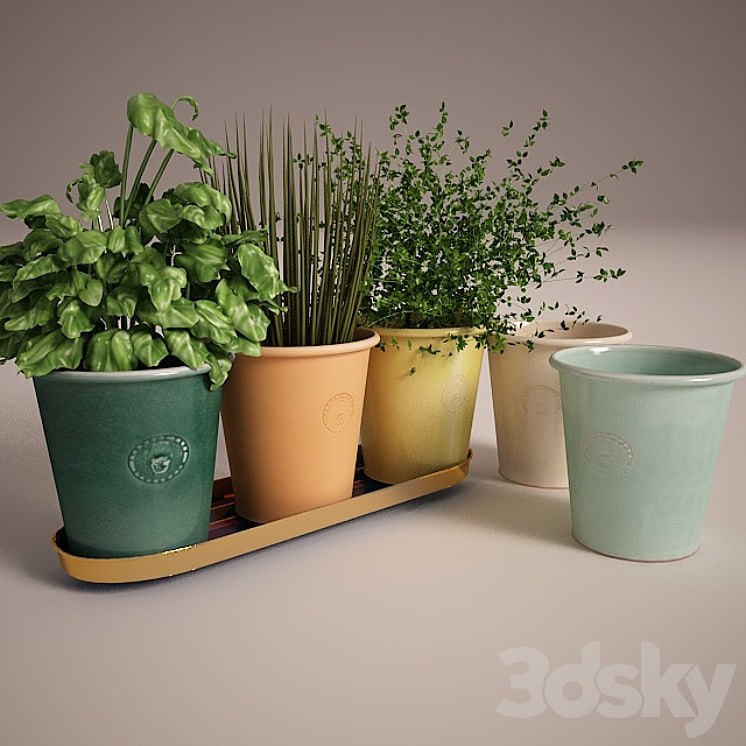 Svenskt Tenn herb pots