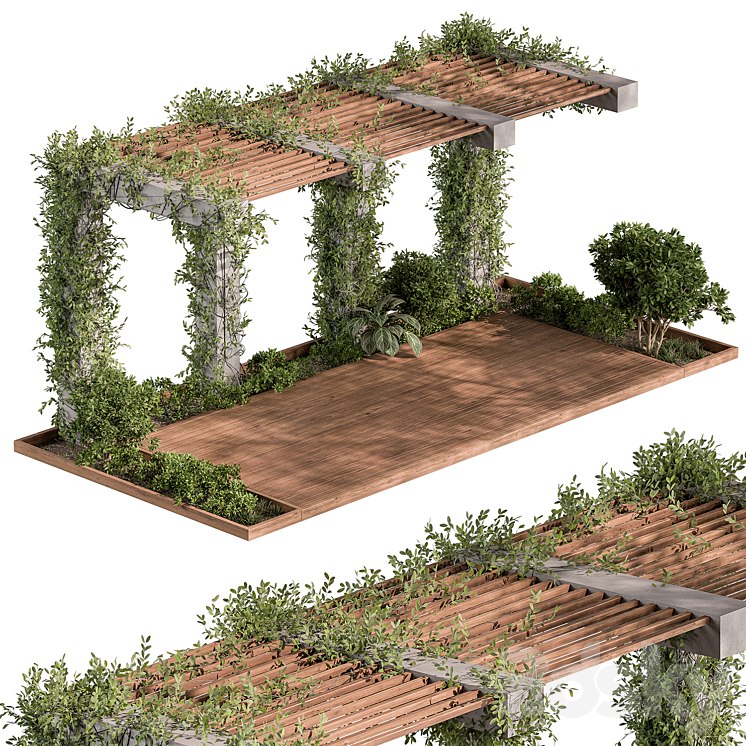Pergola and Plant - Set 81