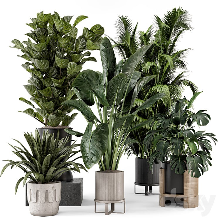 Indoor Plants in Ferm Living Bau Pot Large - Set 1188