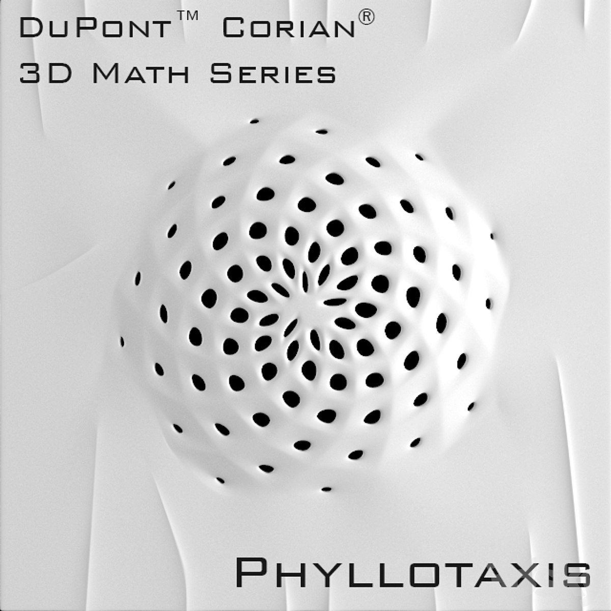 3D Panel Corian Phyllotaxis