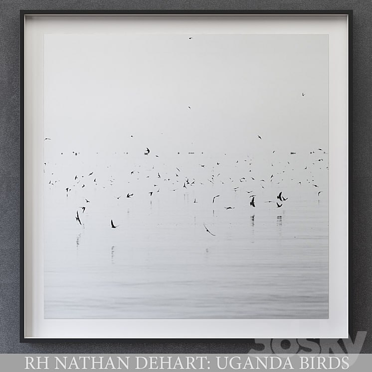 NATHAN DEHART UGANDA BIRDS