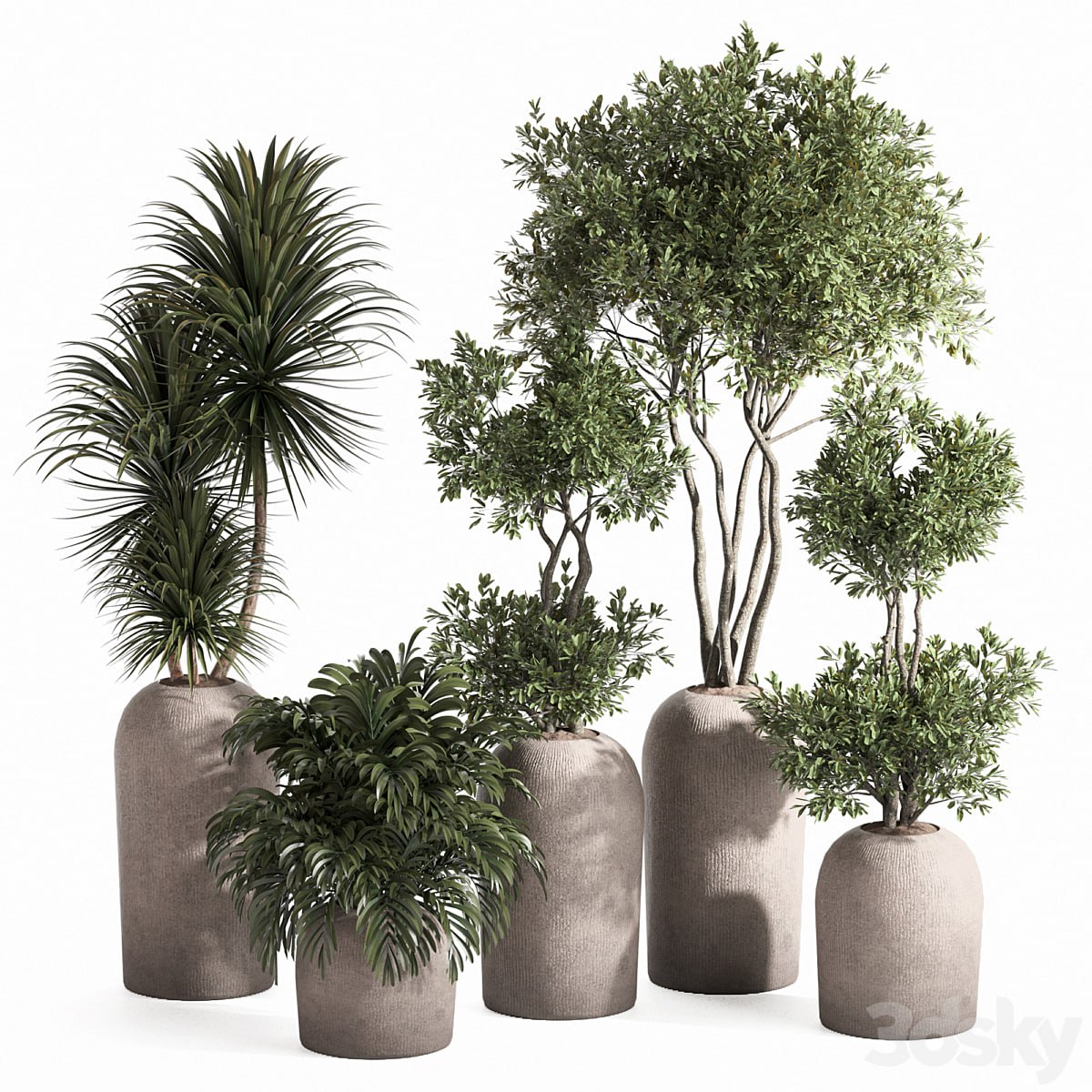 indoor plant set
