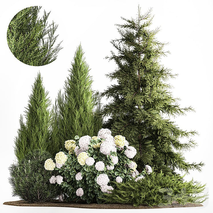 Landscaping and garden decoration of spruce, pine, topiary, white hydrangea bush, flowers, juniper, alpine hill, plant collection 1181