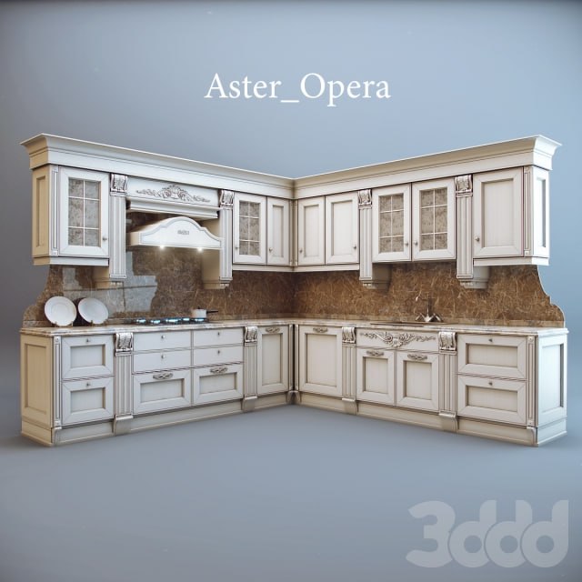 Aster / Opera