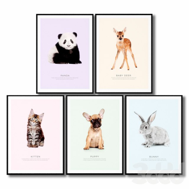 Posters for the childrens room are animals.
