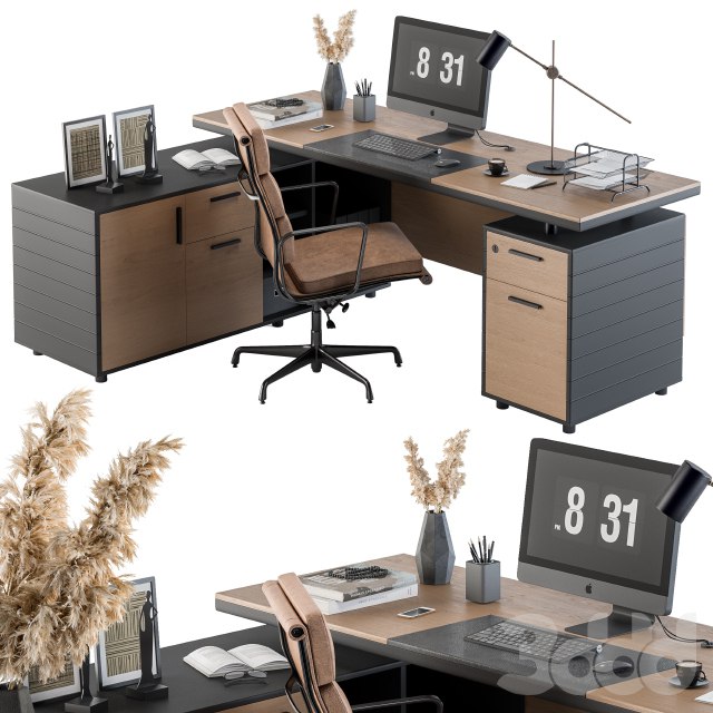 Office Furniture - Manager Set 06