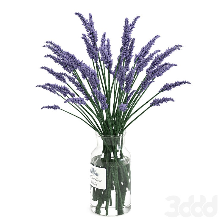 Lavender bouquet