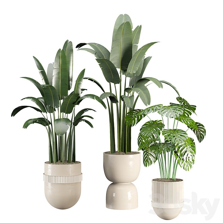 indoor plant set