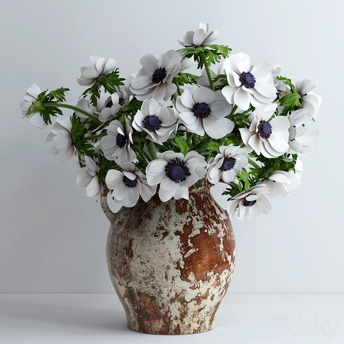White anemones