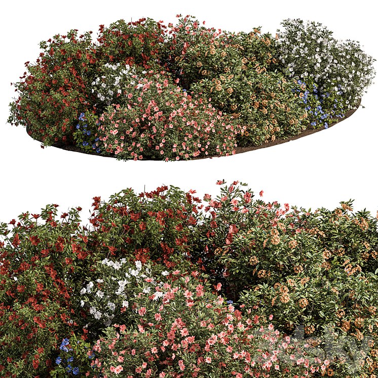 Garden colorful Flower Bush - Set 452