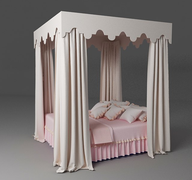 bed with a rectangular canopy