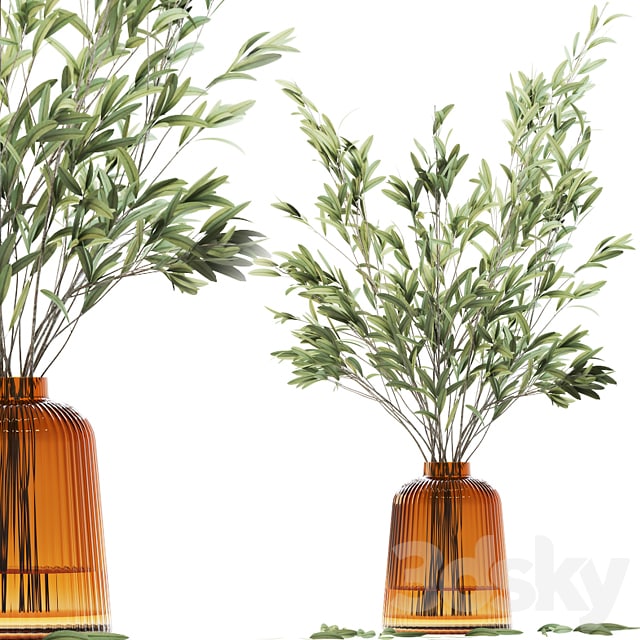 Olive stems in yellow glass vase with water