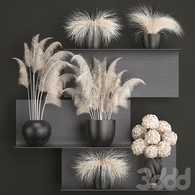 A bouquet of dried flowers 91. White, Pampas grass, branches, vase, reeds, dried flowers, dry decor, black shelf, loft, metal
