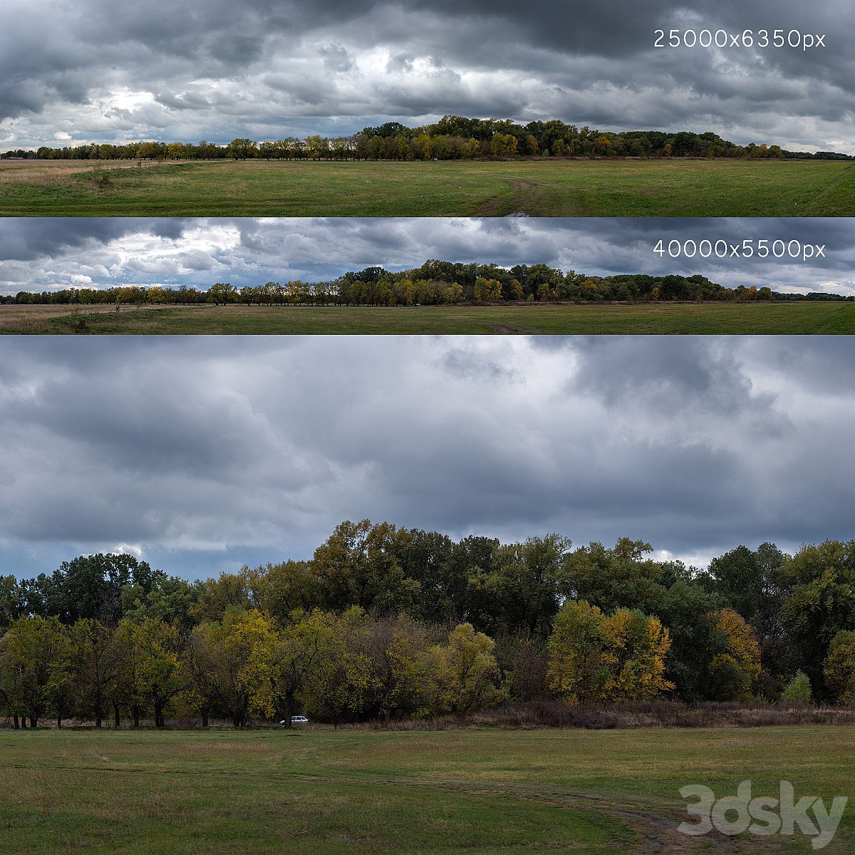 Cloudy panorama with autumn trees