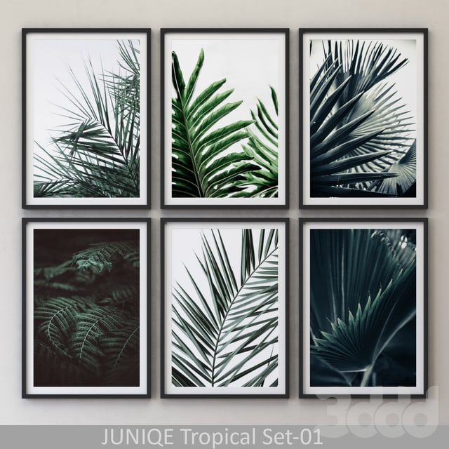 Tropical Set-01 Framed