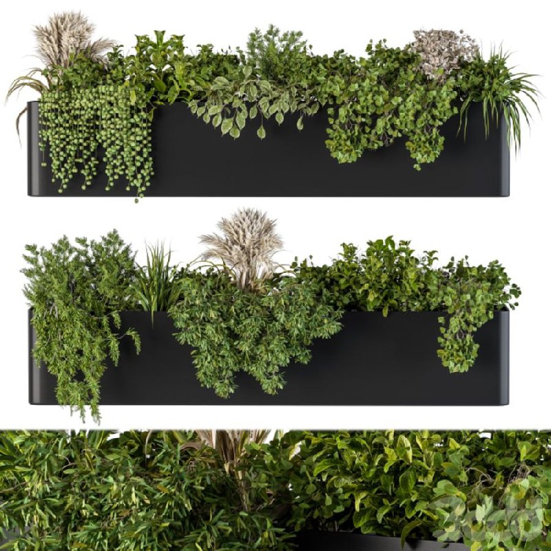 Plant Box on Wall 04