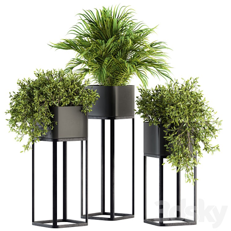indoor Plant Set 211 - Plant Box Stand