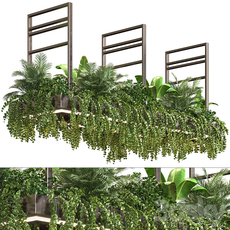 Indoor Plant Vol2 - hanging pot Vol2