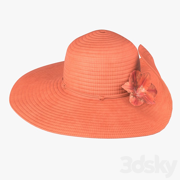 Floppy summer female woman hat 02