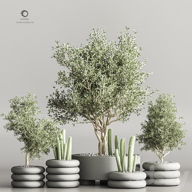 cactus & plant vol 06