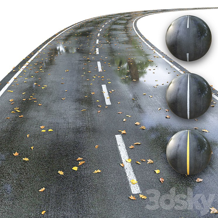 Wet road with markings. Autumn