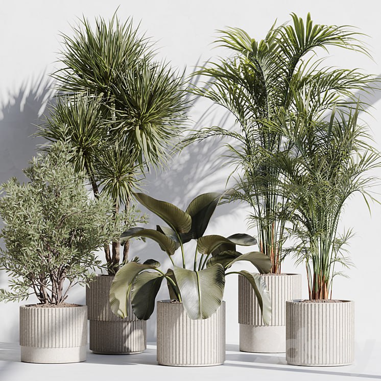 indoor plant set 72