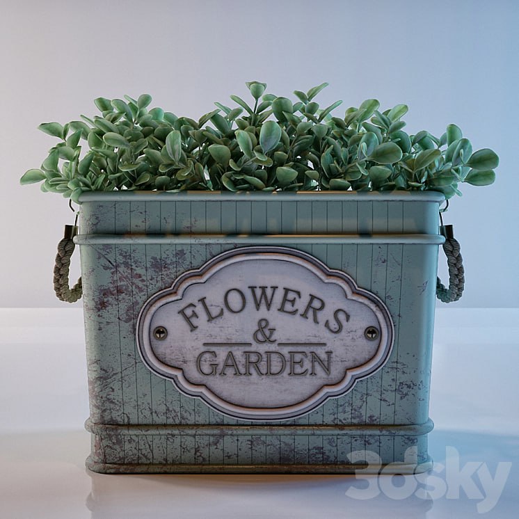 Pots in the style of Provence