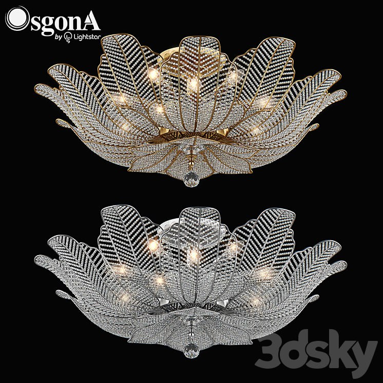 70518x_Riccio_Osgona