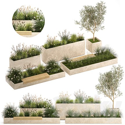 Collection of plants for the urban environment with a flower bed, a bench and concrete outdoor flowerpots, bushes and grass, Miscanthus, olive tree, garden. 1141.