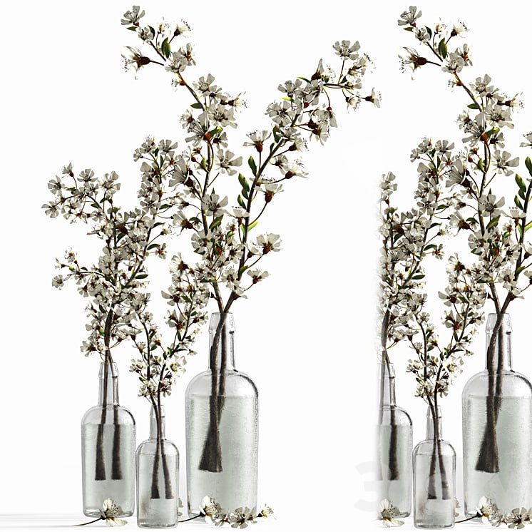 Bouquet to cozy the house