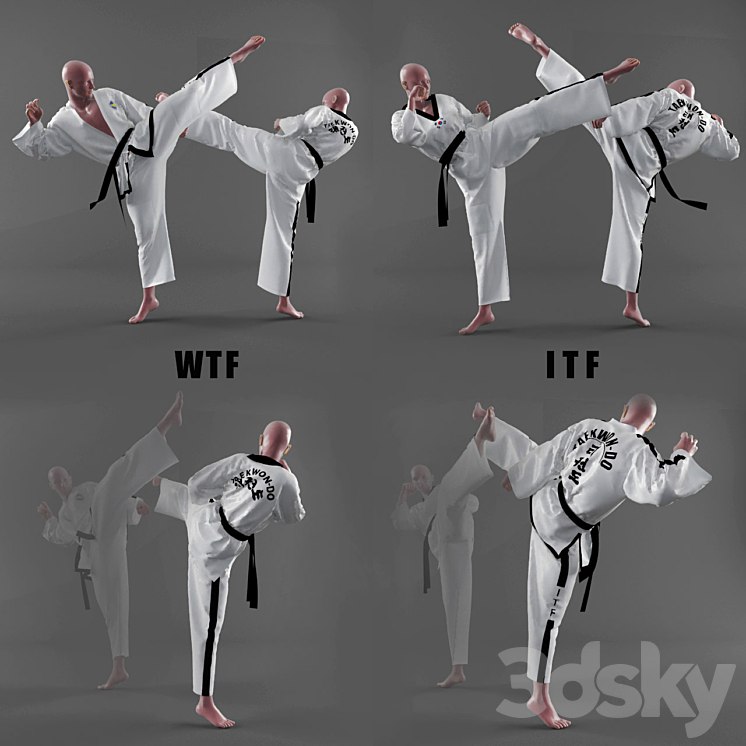 Form of taekwondo
