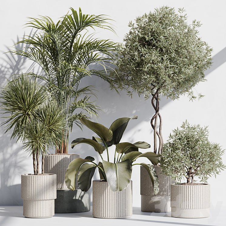 indoor plant set 71
