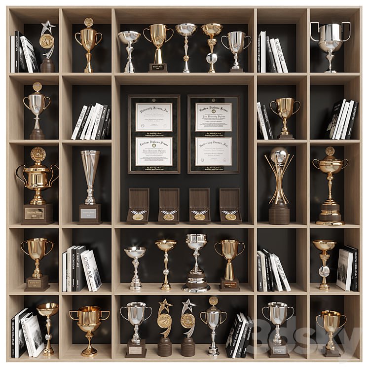 Rack with awards and books